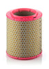 Mann Filter C 17 129